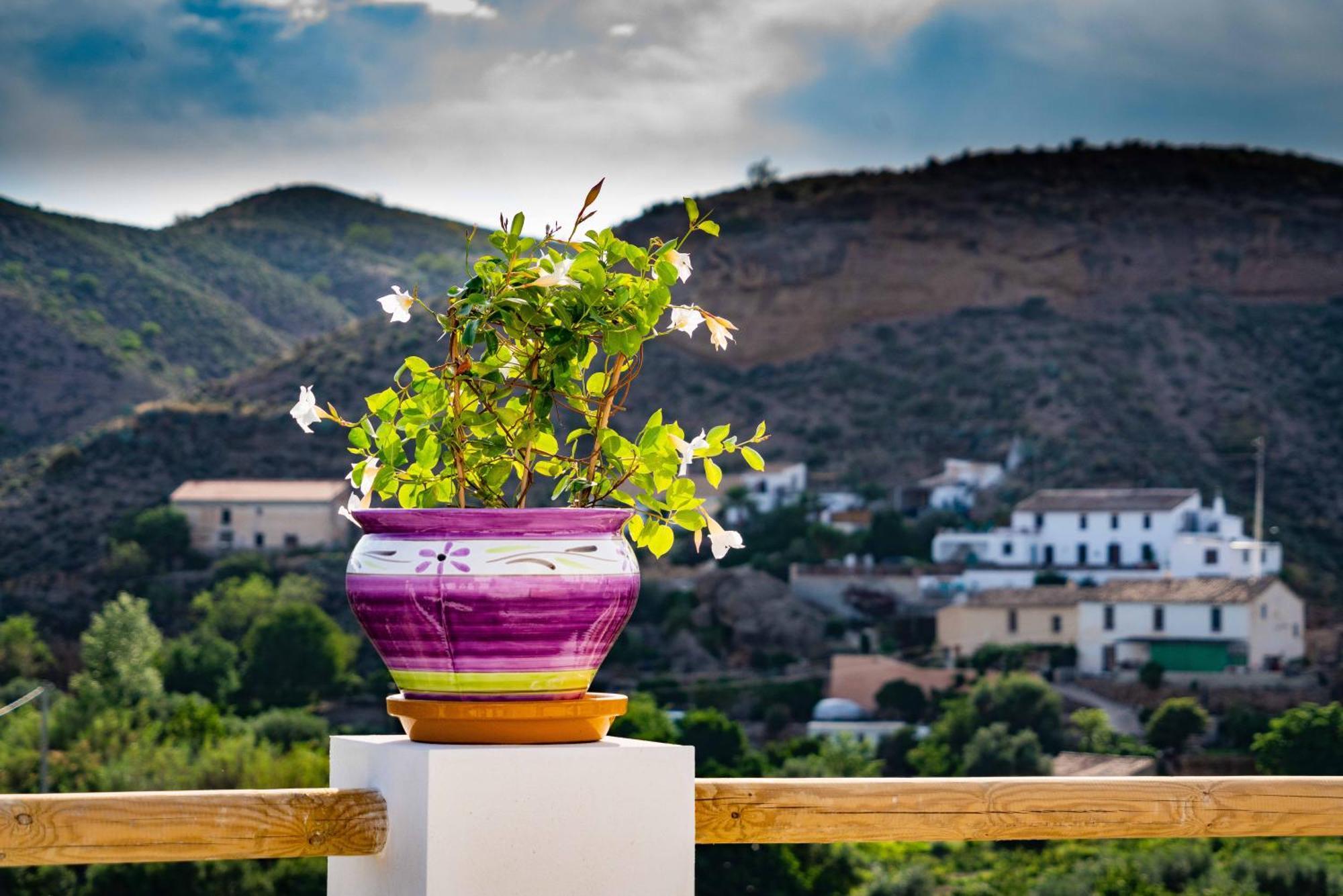 Rambla Retreats Apartment Rojo With Shared Pool & Hot Tub Stunning Views In Oria Exterior photo